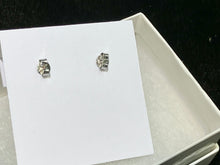 Laden Sie das Bild in den Galerie-Viewer, Silver Sparkle Climber Studs