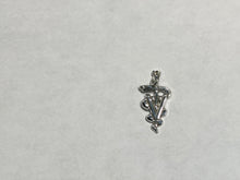 Load image into Gallery viewer, Veterinarian Caduceus Silver Charm