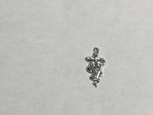 Load image into Gallery viewer, Veterinarian Caduceus Silver Charm