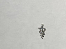 Load image into Gallery viewer, Veterinarian Caduceus Silver Charm
