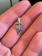 Load image into Gallery viewer, Veterinarian Caduceus Silver Charm