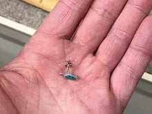 Load image into Gallery viewer, Turtle Silver Earrings Hard Fired Enamel