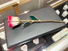 Laden Sie das Bild in den Galerie-Viewer, Red Pink And White 24k Gold Plated Real Rose