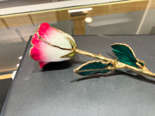 Laden Sie das Bild in den Galerie-Viewer, Red Pink And White 24k Gold Plated Real Rose