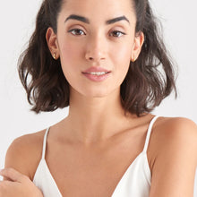 Load image into Gallery viewer, Luxe Huggie Hoop Earring