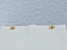 Load image into Gallery viewer, Diamond 14 K Gold Earrings