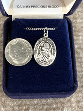 Load image into Gallery viewer, Our Lady Of The Precious Blood Silver Pendant And Chain