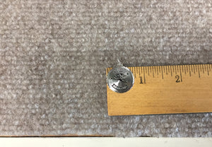 Aquarius Silver Charm