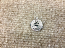 Laden Sie das Bild in den Galerie-Viewer, Pisces Silver Charm Engravable