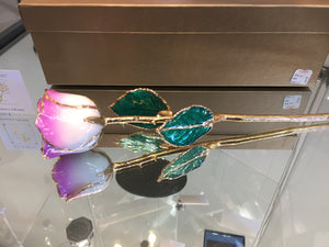 24K Gold Rose Cream Color