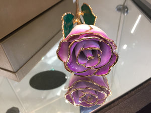 24K Gold Rose Cream Color