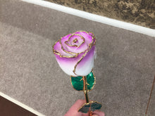Load image into Gallery viewer, 24K Gold Rose Cream Color
