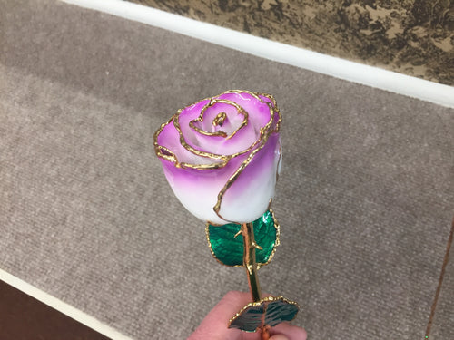 24K Gold Rose Cream Color