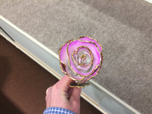 Load image into Gallery viewer, 24K Gold Rose Cream Color