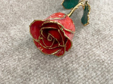 Laden Sie das Bild in den Galerie-Viewer, Red Rose 24K Gold Plated