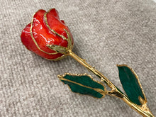 Laden Sie das Bild in den Galerie-Viewer, Red Rose 24K Gold Plated
