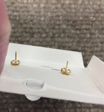 Load image into Gallery viewer, Sand Dollar 14K Yellow Gold Earrings