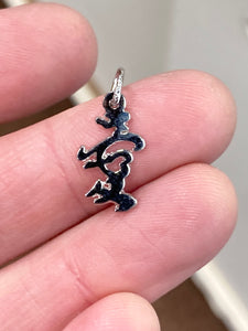 Chinese Love Symbol Silver Charm