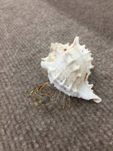 Load image into Gallery viewer, Hermit Crab Glass Figurine