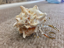 Load image into Gallery viewer, Hermit Crab Glass Figurine