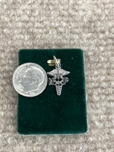 Load image into Gallery viewer, Nurse Practitioner Silver Charm